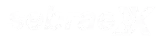 SebraeX